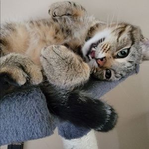 Meet your Posher, Alex